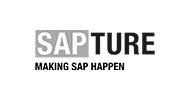 Sapture