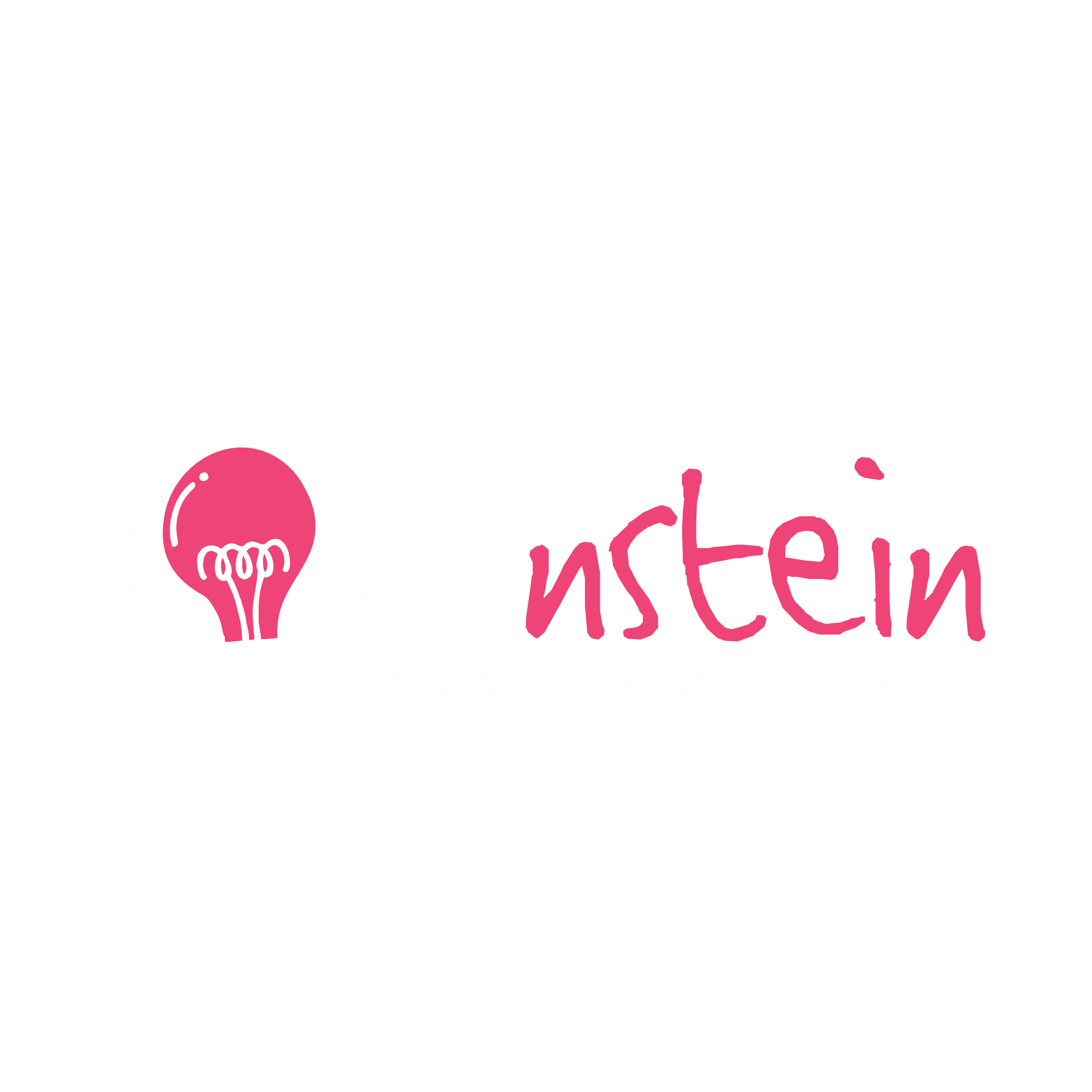 Ainstein — Genius data, powered by Roi-AI